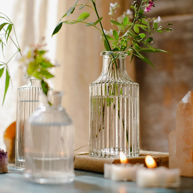 Nordic Minimalist Transparent Glass Vase