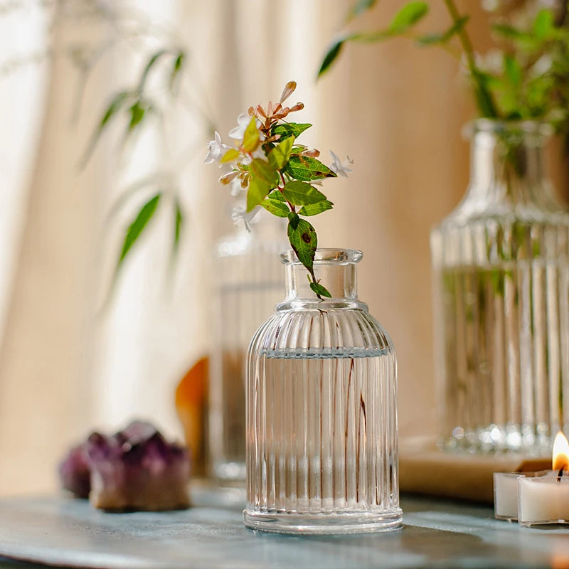 Nordic Minimalist Transparent Glass Vase