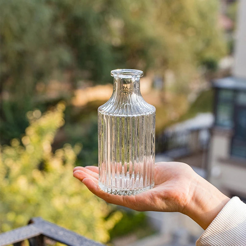 Nordic Minimalist Transparent Glass Vase