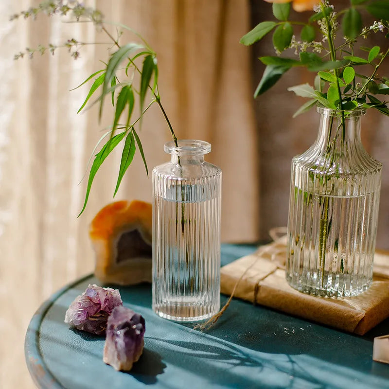 Nordic Minimalist Transparent Glass Vase