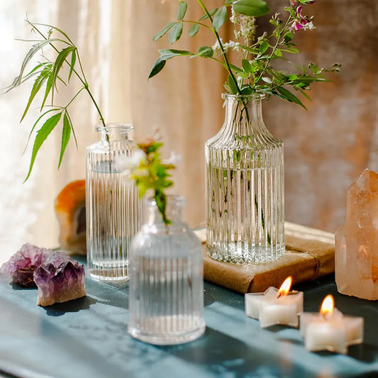 Nordic Minimalist Transparent Glass Vase